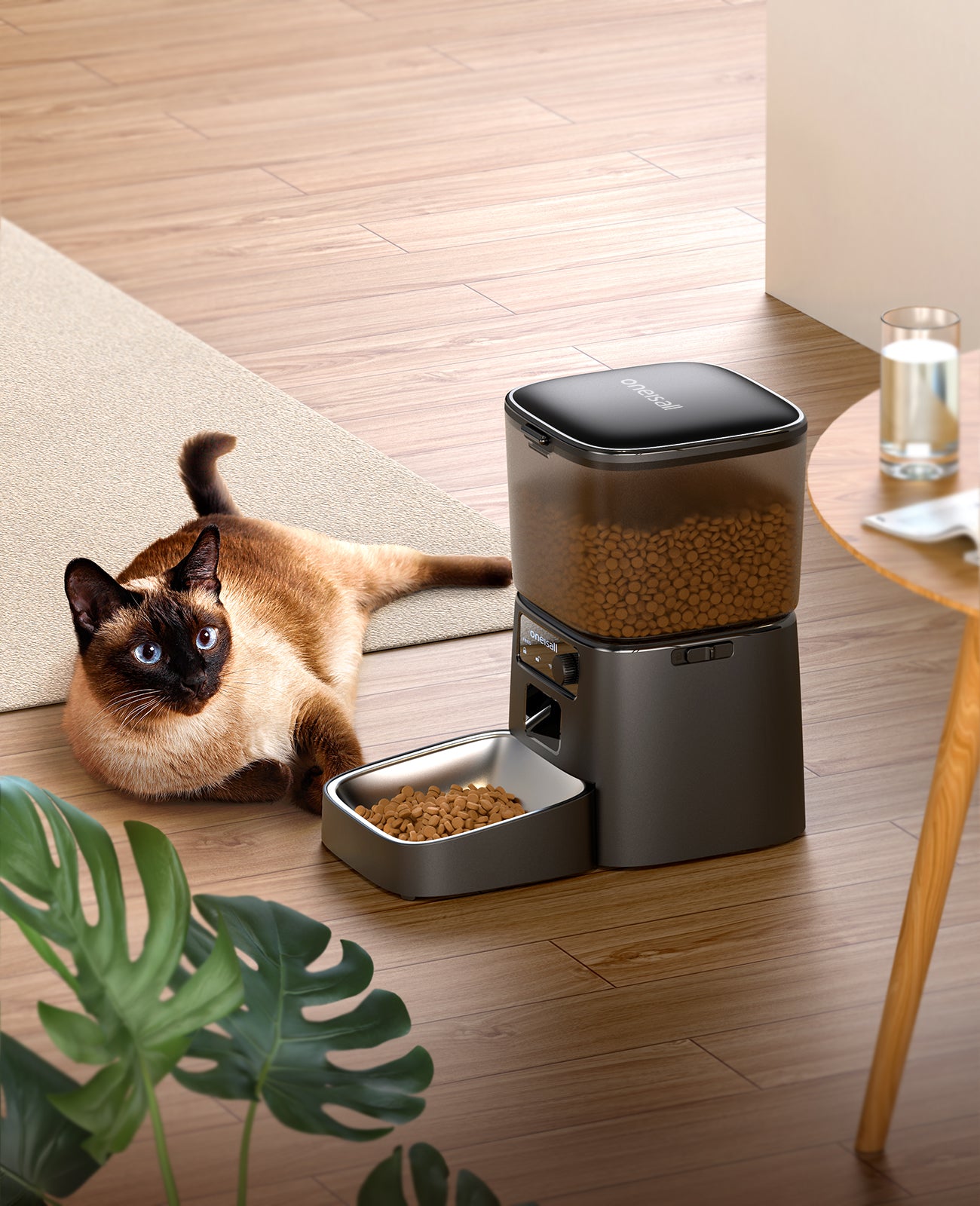 Oneisall 智能食物碗 PFD-001 Pro CW15010 - 带 WiFi 连接 - 食物碗 - 白色或黑色 - 自动食物分配器 - 猫和狗 (翻新)