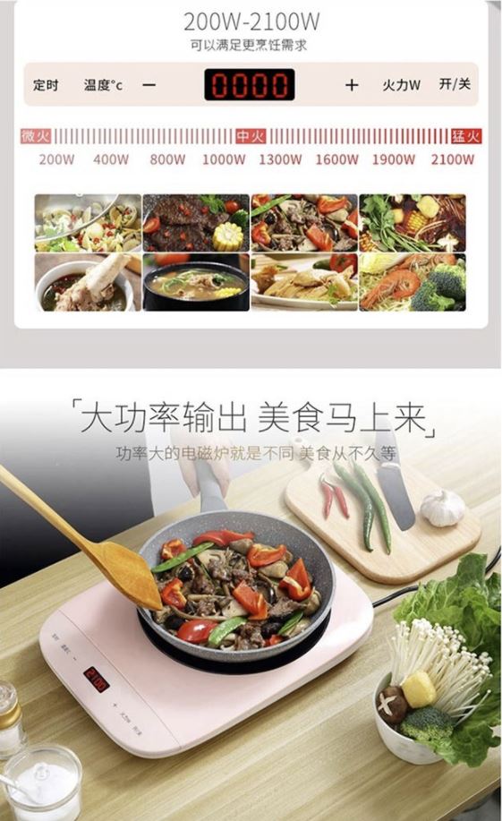 瑞维尔 电磁炉TZ-208A 森林绿