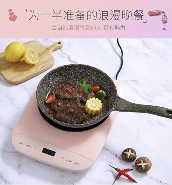 瑞维尔 电磁炉TZ-208A 森林绿