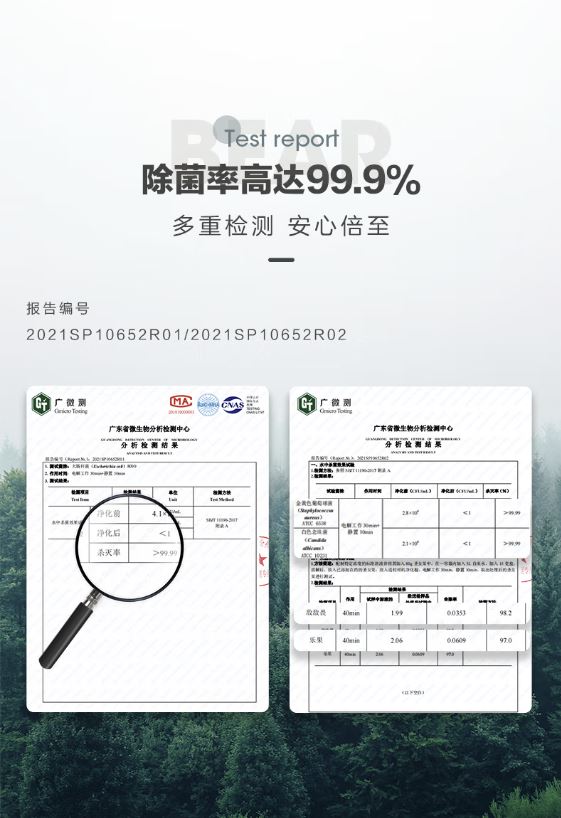 小熊(Bear)果蔬净化清洗机 分离式智能SJQ-B45H5
